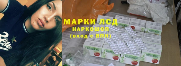 PSILOCYBIN Армянск