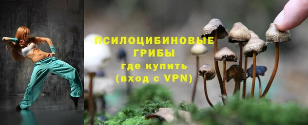 PSILOCYBIN Армянск
